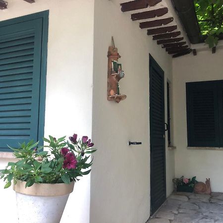 B&B Uva Fragola Perugia Zewnętrze zdjęcie