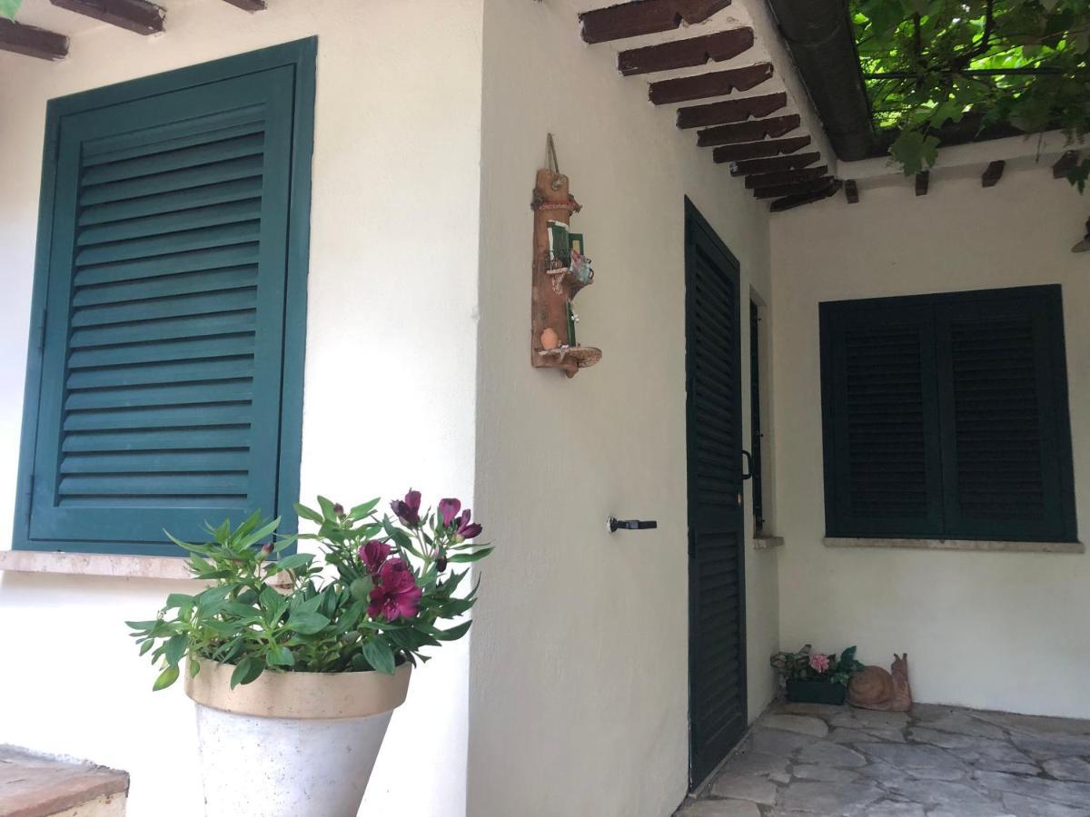 B&B Uva Fragola Perugia Zewnętrze zdjęcie