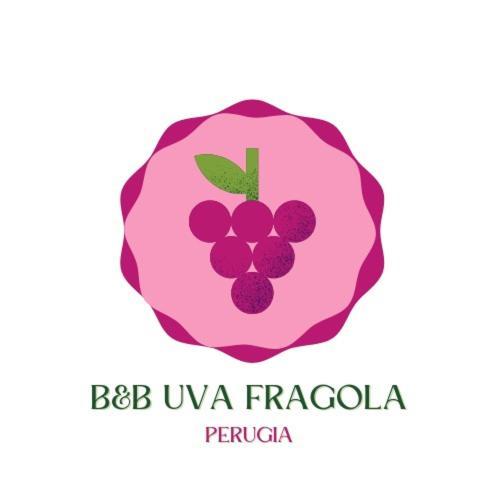 B&B Uva Fragola Perugia Zewnętrze zdjęcie